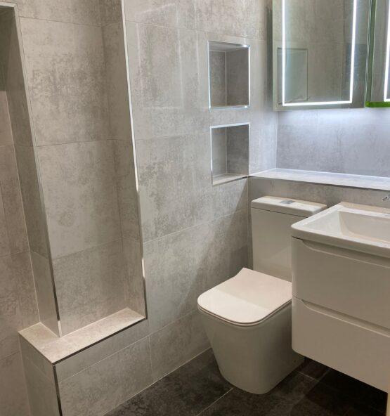 Modern grey bathroom toilet and vanity installation